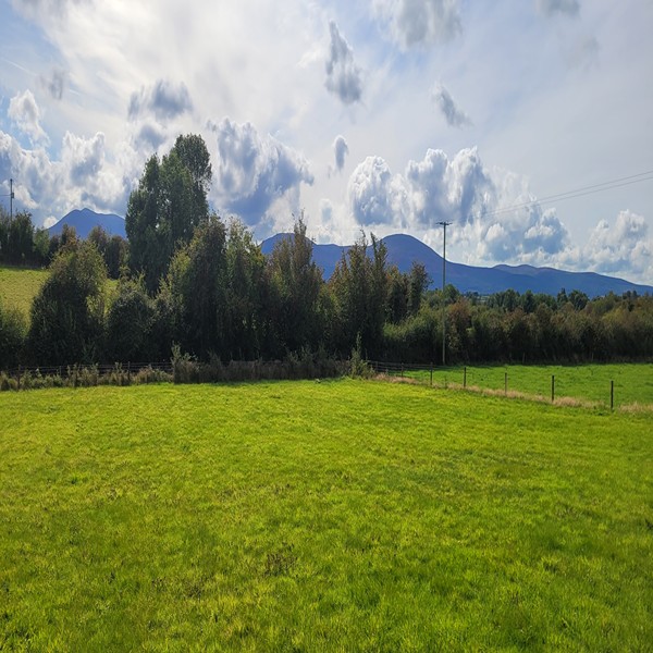 ONE OFF RURAL DEVELOPMENT SITE CIRCA ONE ACRE 