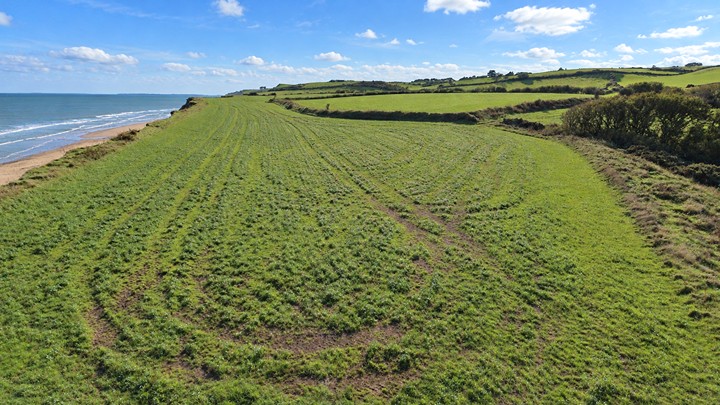 Ballynamona, Kilmuckridge - Image 2